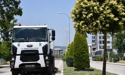 Sokakların gizli kahramanları Kurban Bayramı’nda sahada