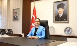 Vali Arslan’dan Kızılay için ilginç benzetme