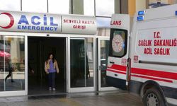 Van’da 144 ’acemi kasap’ hastanelik oldu