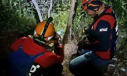 Yalova’da kayıp vatandaş ormanda ölü bulundu
