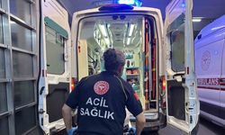 Yılanın ısırdığı kişi hastaneye kaldırıldı