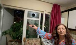 Balkonda kahve içerken üzerine ağaç devrildi