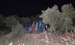 Biber yüklü kamyon zeytinliğe uçtu: 1 yaralı