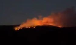 Çankırı’da orman yangını