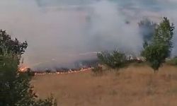 Elazığ’da otluk alanda yangın