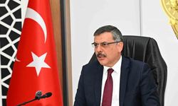 Erzurum ‘da sokak hayvanları mercek altında