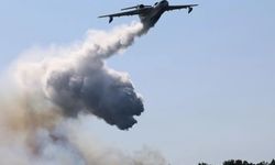 Gebze’de çıkan orman yangını kontrol altına alındı