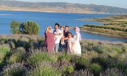 Lavanta bahçeleri fotoğraf platolarına dönüştü