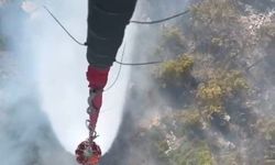 Milas’ta orman yangını
