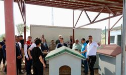 Bitlis’teki hayvan barınağı ve doğal yaşam alanı çalışmaları