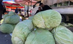 Erzincan’da turşuluk ve yemeklik lahanalar tezgahta yerini aldı