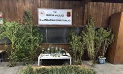 Bursa’da 9 kilo 400 gram esrar ele geçirildi