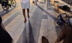 Bankta köpeğiyle oturan yerleşik yabancı kız çocuğu hayatının şokunu yaşadı