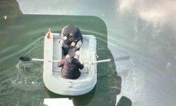 Baraj gölüne 135 metre kaçak ağ sererken jandarmaya yakalandılar