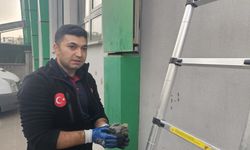 Batman’da kolonlara sıkışan kuş kurtarıldı