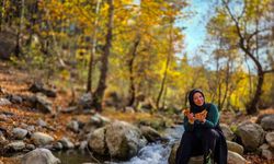 Belemedik, sonbaharda renk cümbüşüne büründü