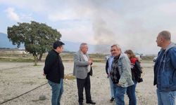 Buharkent’te incir fidanlarında gelişim gözlemi yapıldı