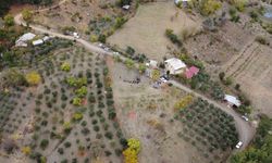 Dünyanın en pahalı baharatı safran Adana’da hasat edildi