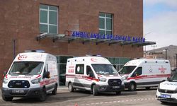 Ispanak sandıkları ot, ’güzel avrat otu’ çıktı: 11 kişi zehirlendi