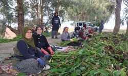 İstilacı su sümbülleri depremzede kadınların ellerinde sanat eserine dönüşüyor