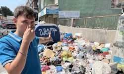 İzmir’de çöp krizi sinek istilasına dönüştü, şehir dört koldan ilaçlanıyor