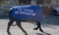 İzmir’de mandalı protesto: Okul sahibinden dikkat çeken tepki