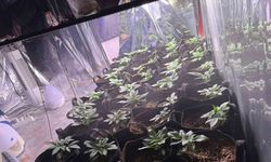 İzmir’de uyuşturucu operasyonunda 1 tutuklama