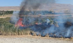 Prof. Dr. Lokman Aslan: "Sulak alanlar tabiatın rahimleridir"