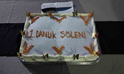 Siirt’te koruma altındaki çocuklarla "Danuk Şöleni"