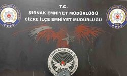 Şırnak’ta iş yeri sahibini silahla tehdit eden şahıs 20 dakikada yakalandı