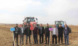 Sivas’ta 5 farklı ekmeklik buğday, pilot bölgede toprakla buluşturuldu