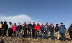 Sivas’ta meralar on binlerce tuz çalısı ile yeşerecek