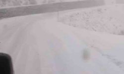 Tunceli’de, kar yağar yağmaz mücadele başladı