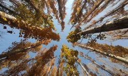 Van’ın sonbahar güzelliği: Van Kalesi ve Atatürk Kültür Parkı ziyaretçilerin gözdesi oldu