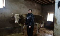 8 erkek adayı geride bırakan kadın muhtar: Hem hayvancılık yapıyor hem mahallesini yönetiyor