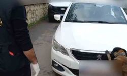 92 kilo bonzai hammaddesi taşıyan 2 şüpheli gözaltına alındı