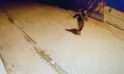 Adana'da evin camlarına taş atıp kaçtı: O anlar kamerada