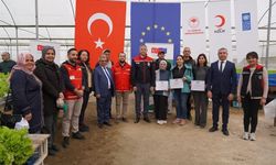 Adana'da topraksız marul yetiştiriciliği başladı