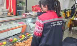 Ağrı'da gıda güvenliği çalışmaları kapsamında 750 işletme kontrolden geçti