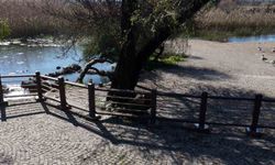 Akyaka Kadın Azmağında doğal dokuyu koruyan çalışma tamamlandı