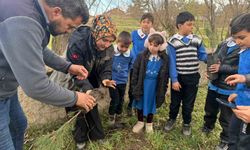 Altıntaş'ta öğrenciler fidanları toprakla buluşturdu