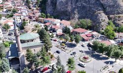 Amasya'da motorlu taşıtların yüzde 46,5'i otomobil