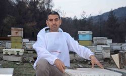 Ana arı üretiminde büyük başarı: Bir arı kovanıyla hobi olarak başladı, şimdi Türkiye'nin her yerine koloni gönderiyor