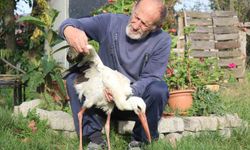 Annesinin yuvadan attığı leyleğe, mahalleli anne ve baba oldu