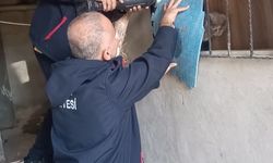 Antakya'da kedi kurtarma operasyonu