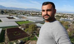 Antalya'da çiftçiler 1,5 dönümlük tarlaya 13 bin marulla Türk bayrağı deseni oluşturdu