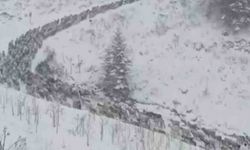 Anzer Yaylası'na kar yağdı, her yer beyaza büründü