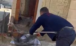 Asansör boşluğunda mahsur kalan kedi için itfaiye seferber oldu