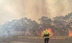 Avustralya'da devam eden orman yangınlarında itfaiye görevlisi öldü