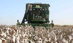 Aydın İl Tarım Müdürlüğü'nden üreticilere ÇKS hatırlatması